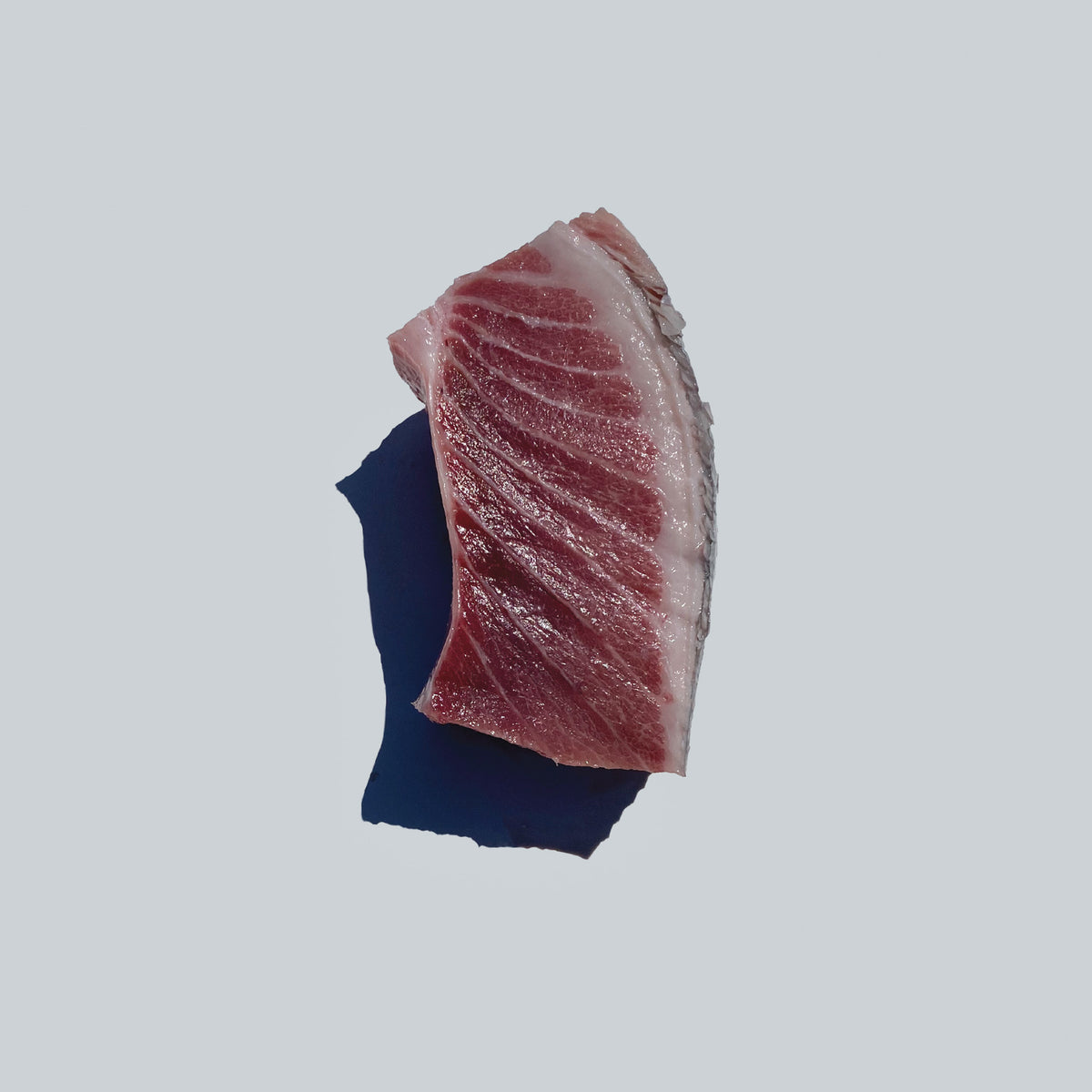 Ahi Tuna Belly 1 lb Haworth Fish Co