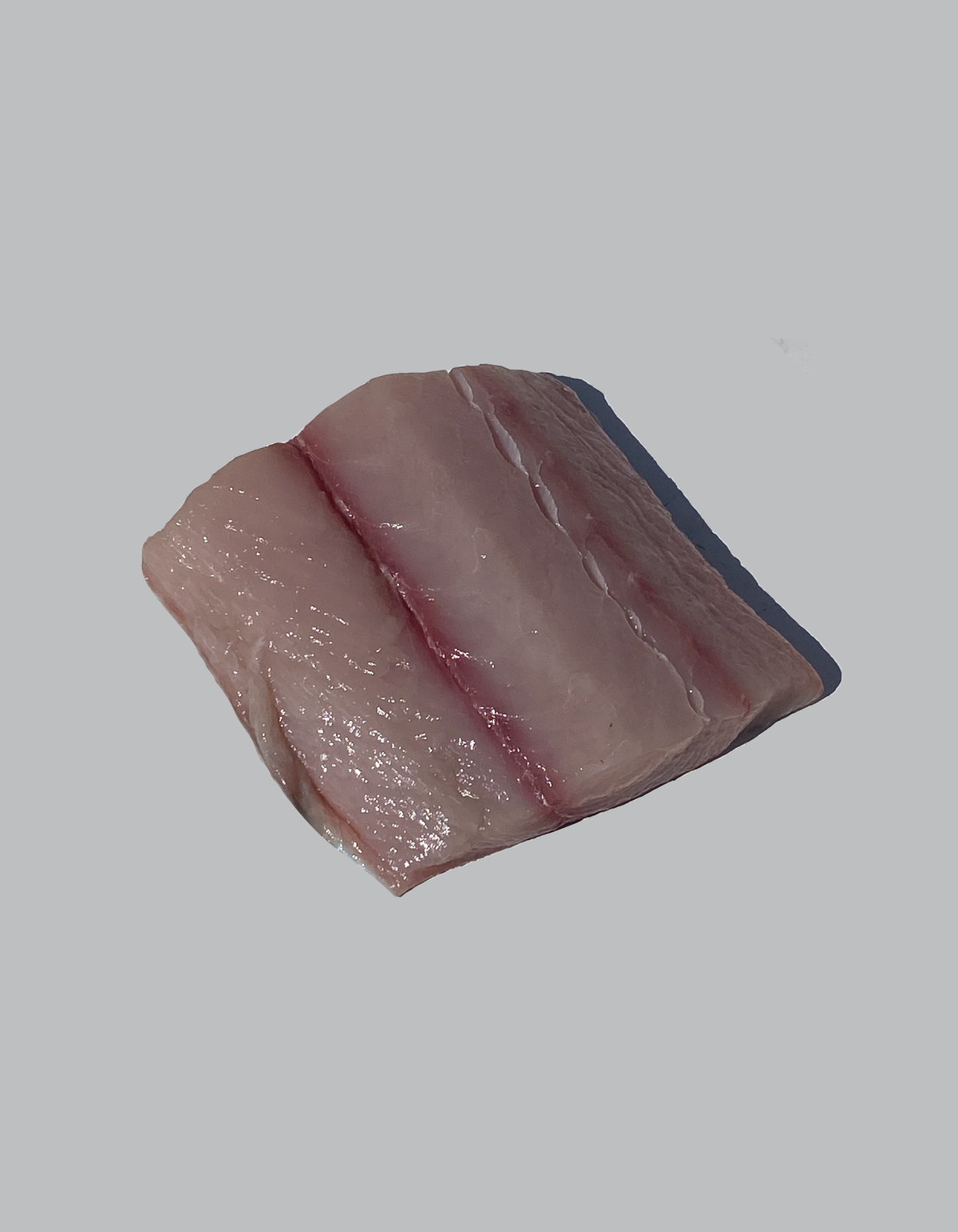 mahi-mahi_1200x1543.png?v=